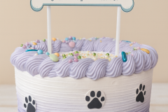 PXL_20230830_165838027_Edited