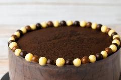 PXL_20240220_131352106_edited