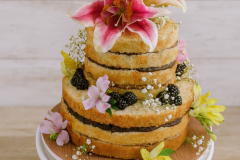 IMG_20160827_105809_Edited