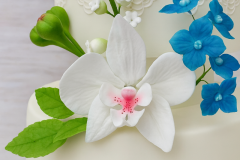 P_20191018_170222_vHDR_On_HP_Edited