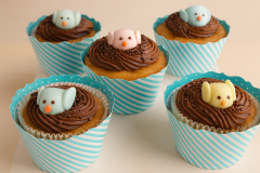 IMG_20140823_162856-Large_edited