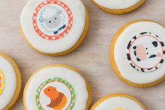 PXL_20240611_140431110_edited