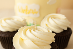 PXL_20240614_144232285_edited