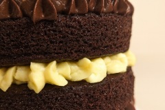 PXL_20240517_153620919_edited