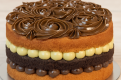 PXL_20240920_173613821_Edited2