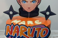 PXL_20240531_140016738_edited